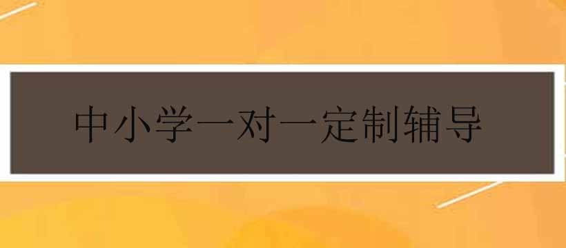 郑州中小学一对一定制辅导课程