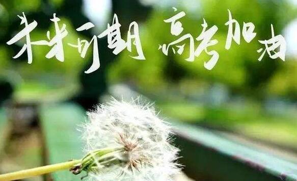 郑州哪里有高考封闭班(郑州高考辅导班哪家好)