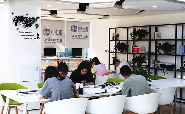 武汉新航道雅思老师工资(武汉新航道雅思一对一培训每课时多少钱)