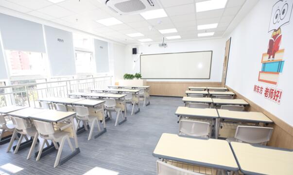 石家庄新东方艺术生文化课(石家庄新东方高考)