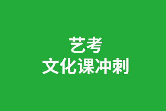 2024石家庄艺术生文化课冲刺班哪家好 2024石家庄艺术生文化课冲刺班哪家好