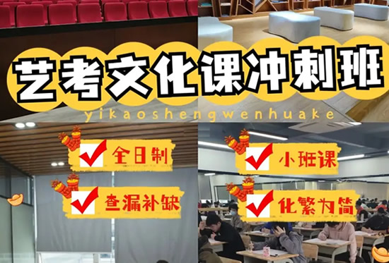 2024石家庄艺术生文化课冲刺班哪家好 2024石家庄艺术生文化课冲刺班哪家好