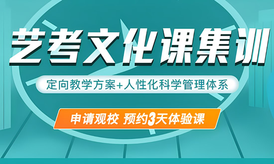 艺术生文化课学校综合简介_郑州高三艺术生文化课辅导班_郑州艺考文化课培训费用