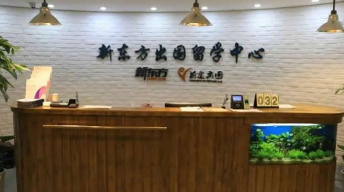 南京新东方留学咨询(南京新东方申请出国服务机构)