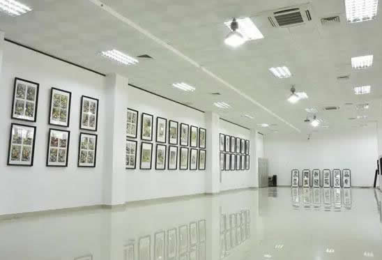 郑州美术高考集训画室排名(郑州画室美术高考集训班哪个好)