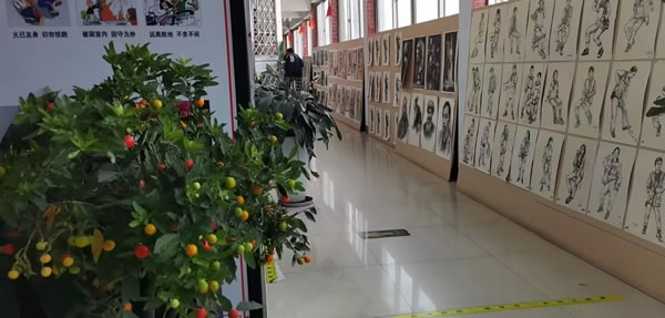 郑州美术集训画室(郑州高考美术培训画室)