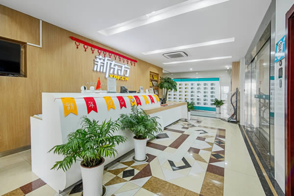 南京新东方考研寄宿营电话多少(南京新东方25考研英语寒假集训营)