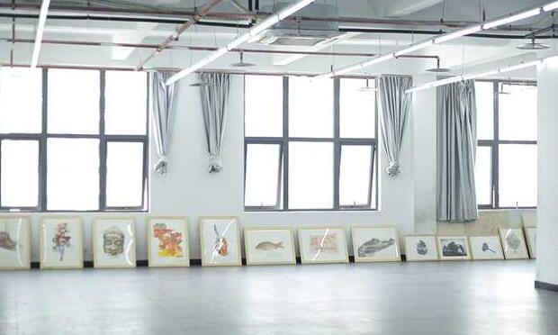 南京艺高画室高杭(南京艺高画室学费支付方式)