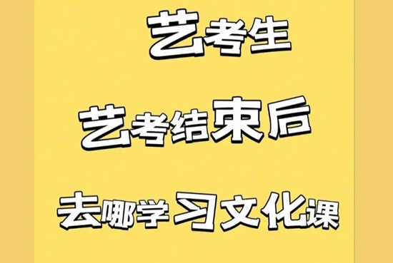 武汉艺考文化课集训学校哪里好(武汉高考艺术生文化课培训学校十大排名)