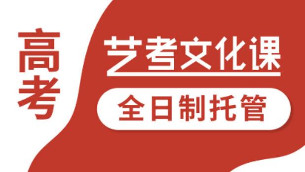 武汉艺术生文化课培训学校排名(武汉高考艺术生文化课全科辅导班)