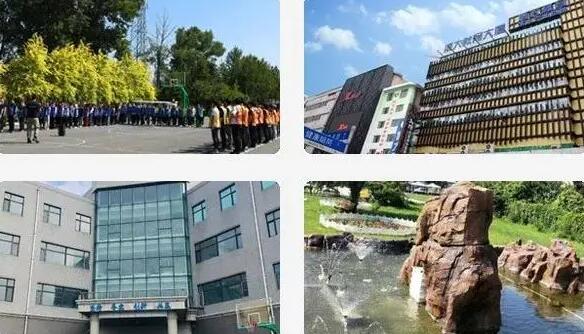 长春博大教育口碑怎么样(长春博大教育机构怎么样)