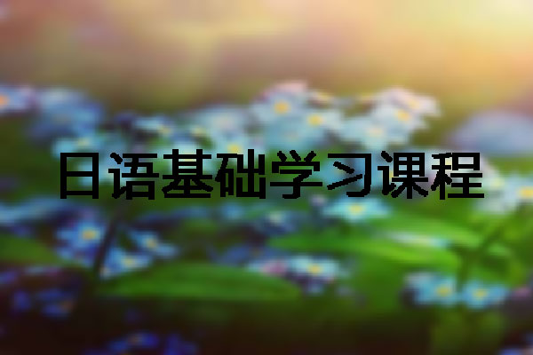 郑州直通车教育 郑州直通车教育