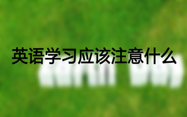学好英语怎么做，Mr.Lee语言培训来帮助你