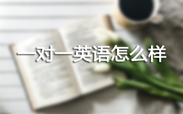 欧克剑桥带你看看英语一对一怎么样 欧克剑桥带你看看英语一对一怎么样