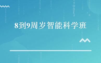 8到9周岁智能科学班 