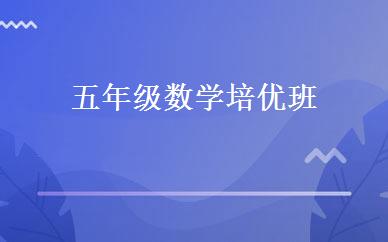 五年级数学培优班 