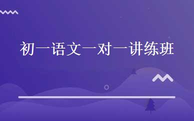 初一语文一对一讲练班 