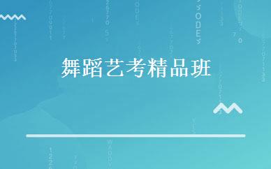 舞蹈艺考精品班 