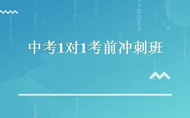 中考1对1考前冲刺班 