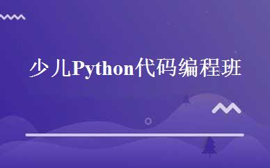 少儿Python代码编程班 