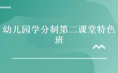 幼儿园学分制第二课堂特色班 