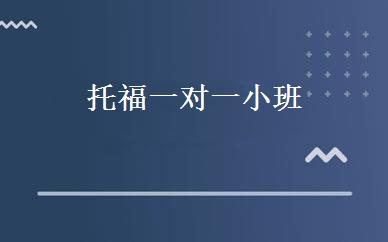 托福一对一小班 