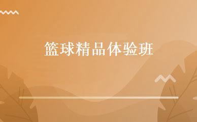 篮球精品体验班 