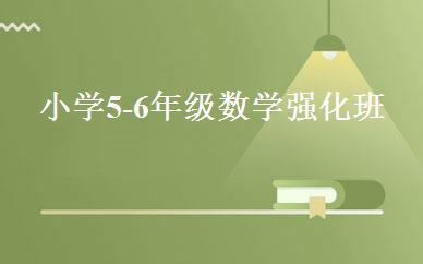 小学5-6年级数学强化班 