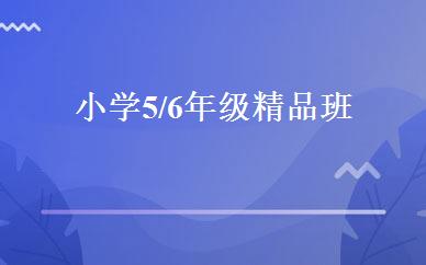 小学5/6年级精品班 