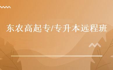 东农高起专/专升本远程班 