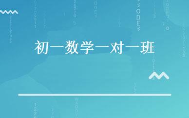 初一数学一对一班 