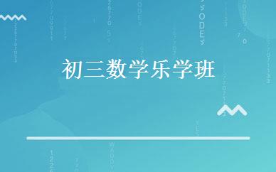 初三数学乐学班 