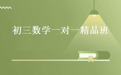初三数学一对一精品班 