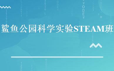 鲨鱼公园科学实验STEAM班 