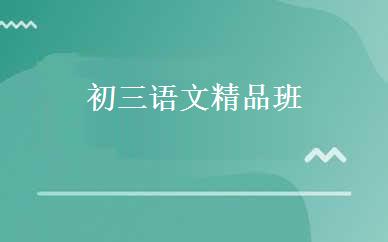 初三语文精品班 