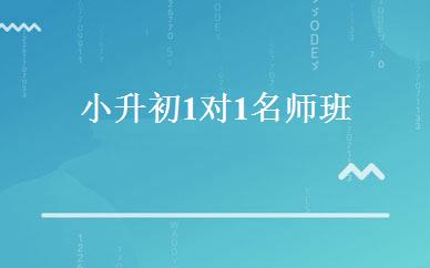 小升初1对1名师班 