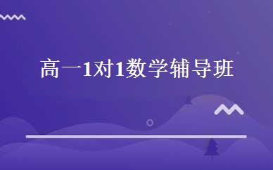 高一1对1数学辅导班 