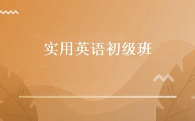 实用英语初级班 