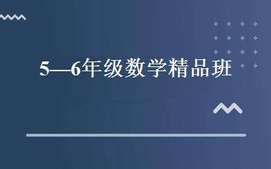 5—6年级数学精品班 