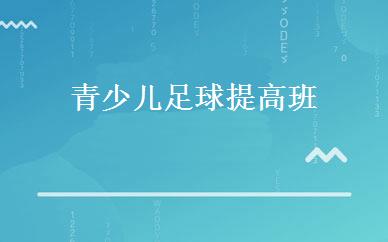 青少儿足球提高班 