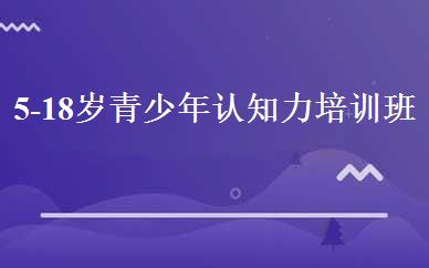 湖南小学辅导哪家好,多少钱_5-18岁青少年认知力培训班 _长沙博沃思教育