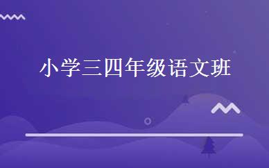小学三四年级语文班 