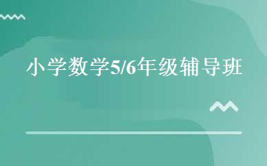 小学数学5/6年级辅导班 
