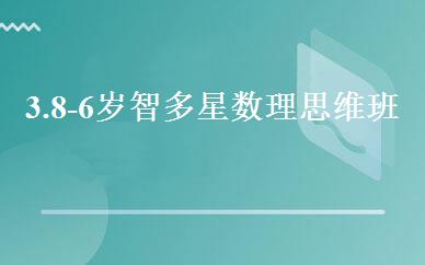 3.8-6岁智多星数理思维班 