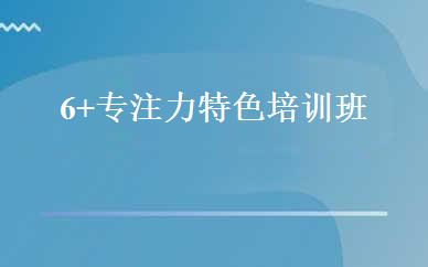 6+专注力特色培训班 