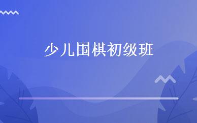 少儿围棋初级班 