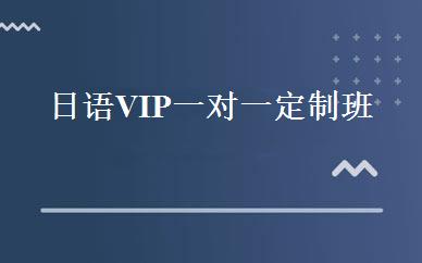 日语VIP一对一定制班 