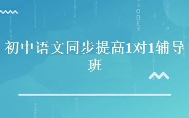商务英语高端定制班 