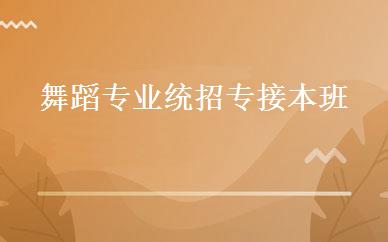 全脑小学英语单词记忆王班 