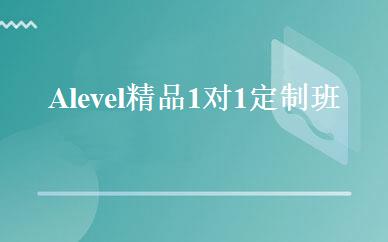Alevel精品1对1定制班  